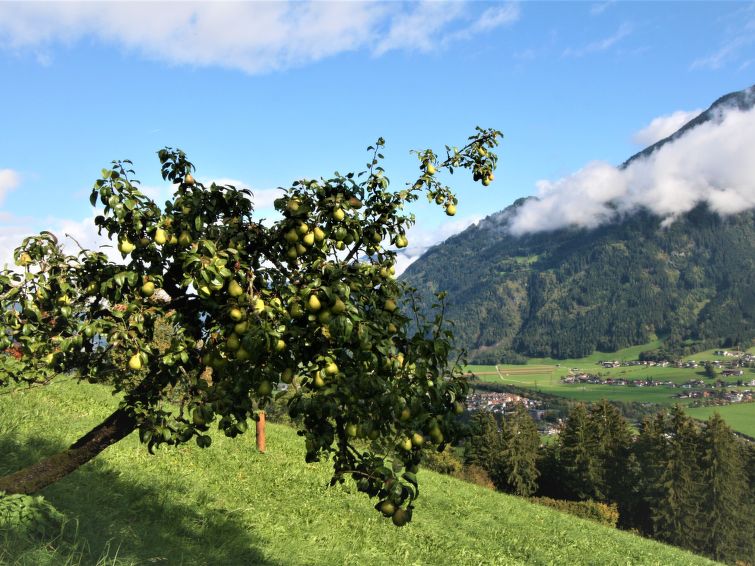 Foto van exterieur van Appartement Kaltenbach