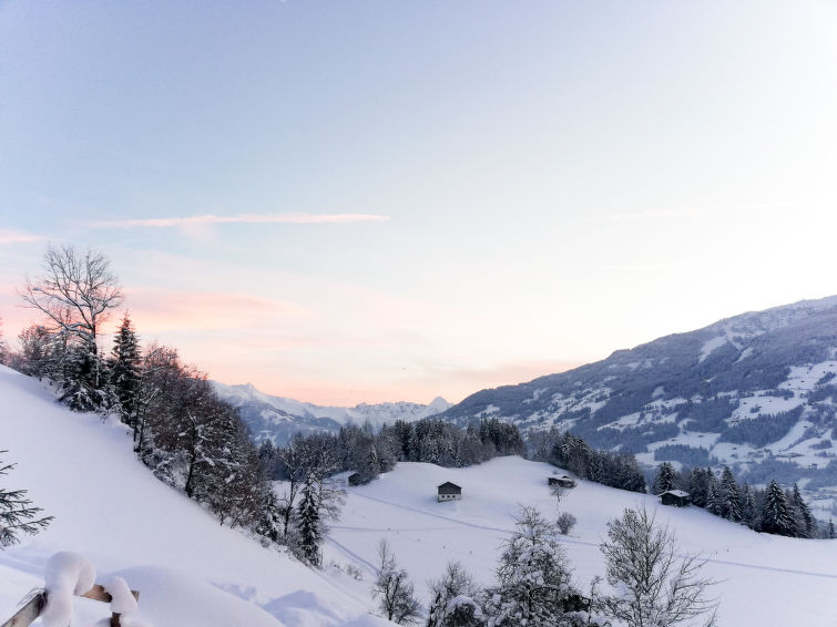 Foto van exterieur van Appartement Stumm im Zillertalin de winter