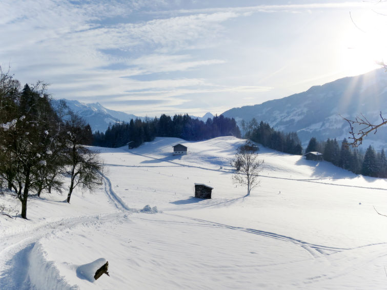 Foto van exterieur van Appartement Stumm im Zillertalin de winter
