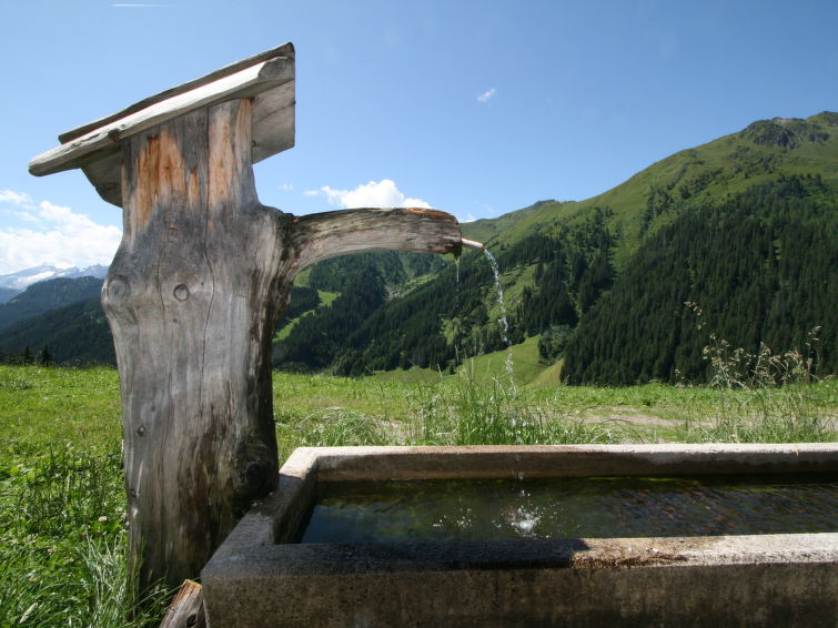 Foto van exterieur van Vakantiehuis Mayrhofen