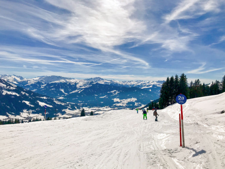Foto van omgeving van Appartement Brixen im Thalein de winter