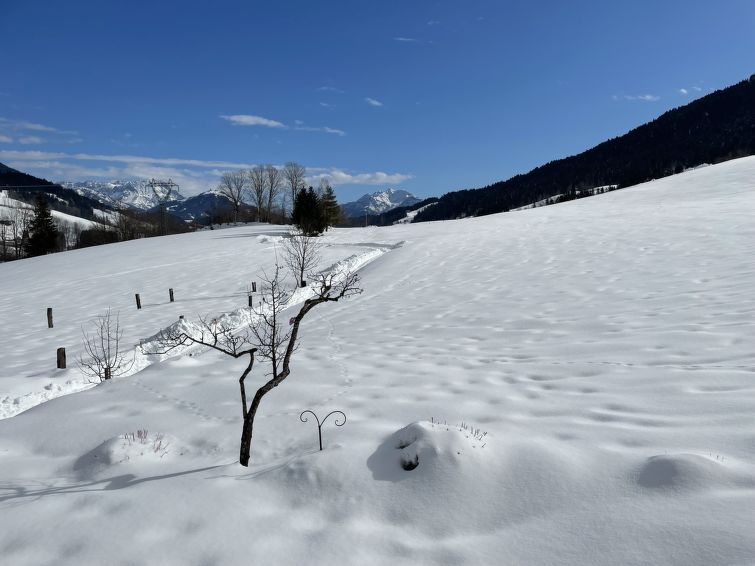 Foto van exterieur van Appartement Sankt Johann in Tirolin de winter