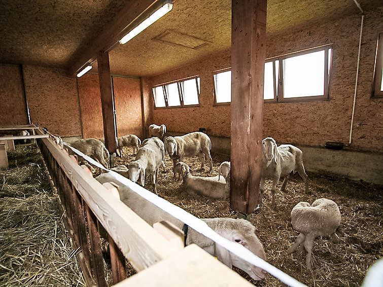 Foto van wonen van Appartement Längenfeldin de winter Foto van wonen van Appartement Längenfeldin de winter