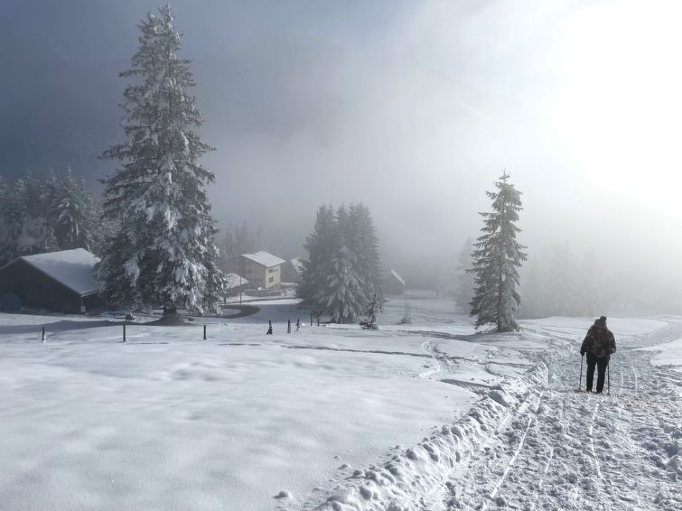 Foto van exterieur van Vakantiehuis Laternsin de winter