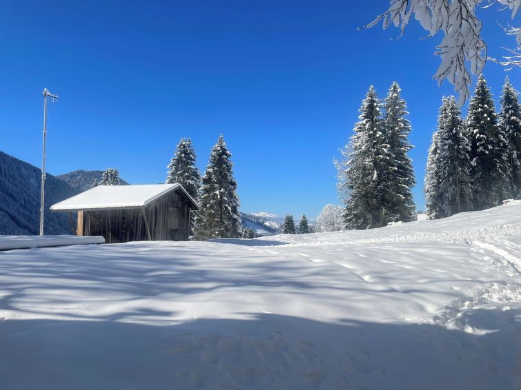 Foto van exterieur van Vakantiehuis Laternsin de winter