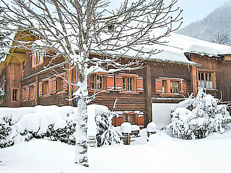 Foto van exterieur van Vakantiehuis Sankt Gallenkirchin de winter