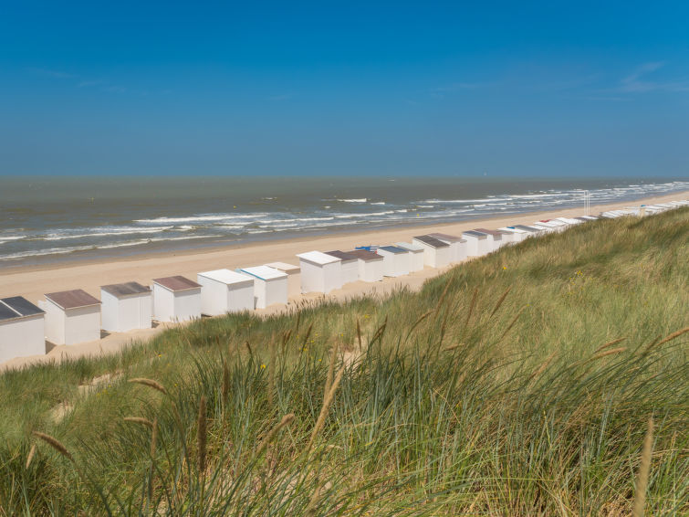 Foto van exterieur van Vakantiehuis Bredenein de winter