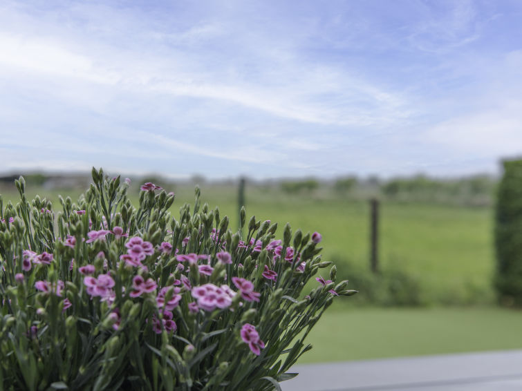 Foto van exterieur van Vakantiehuis De Haan