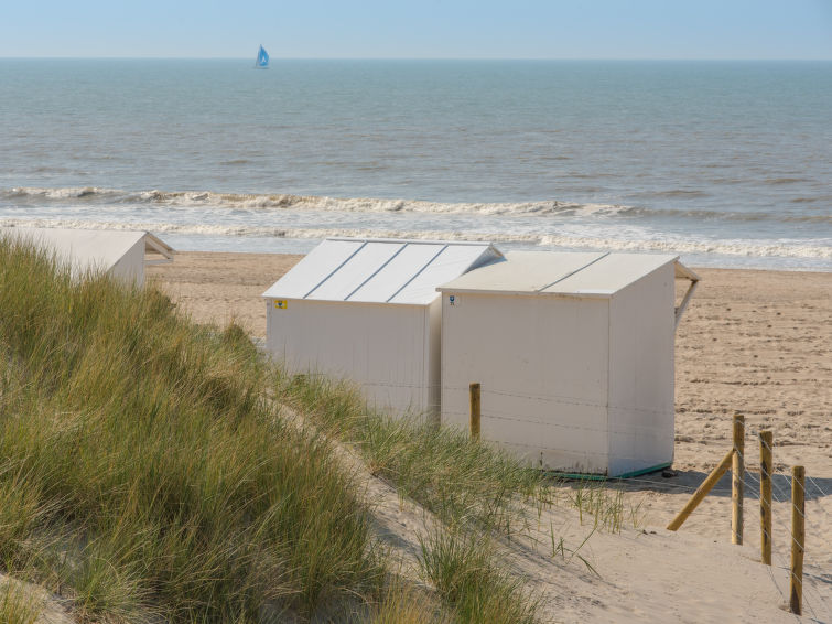 Foto van exterieur van Vakantiehuis De Haanin de winter