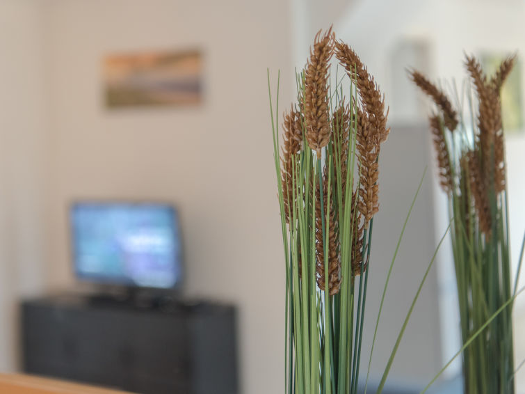 Foto van wonen van Vakantiehuis De Haan