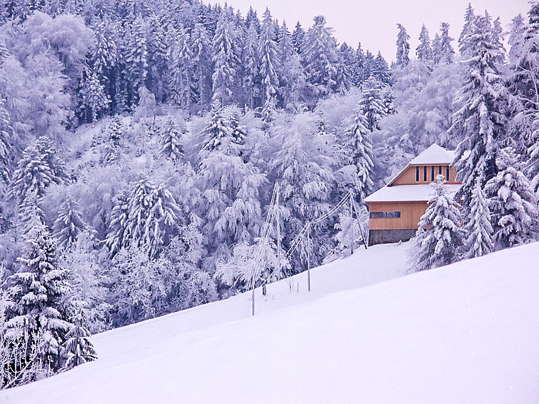 Foto van exterieur van Appartement Biembach im Emmentalin de winter
