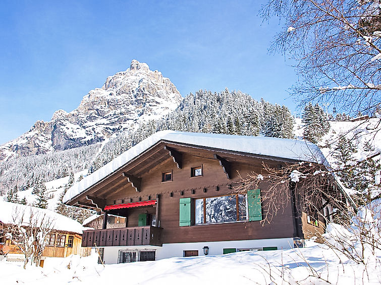 Foto van exterieur van Vakantiehuis Kanderstegin de winter Foto van exterieur van Vakantiehuis Kanderstegin de winter