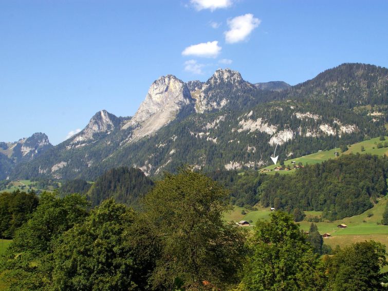 Foto van exterieur van Appartement Boltigen
