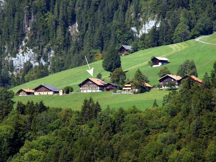 Foto van exterieur van Appartement Boltigen