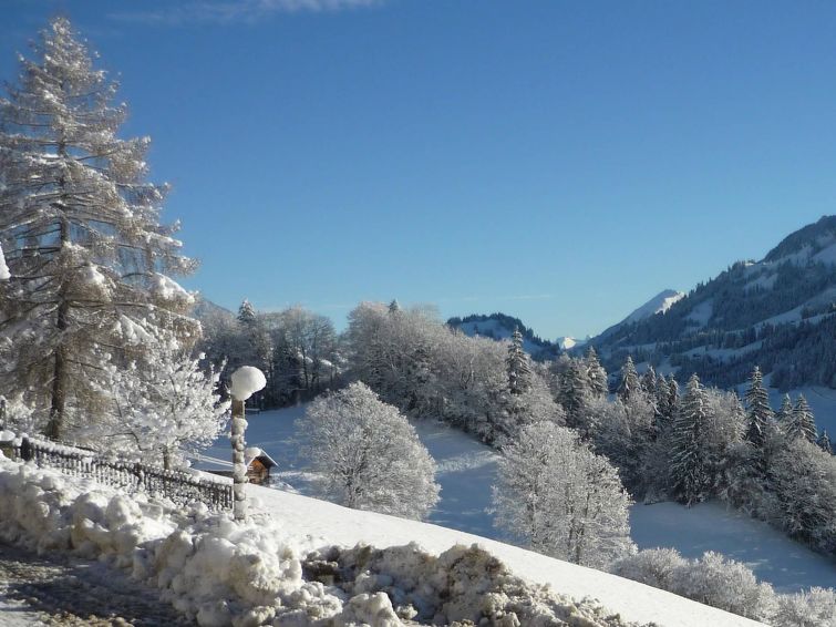 Foto van exterieur van Appartement Boltigen