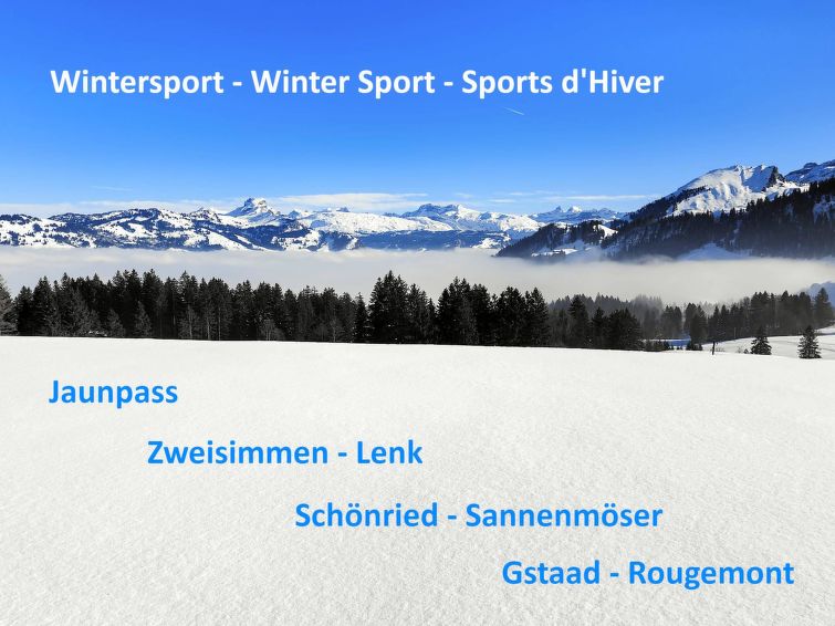 Foto van exterieur van Appartement Boltigenin de winter