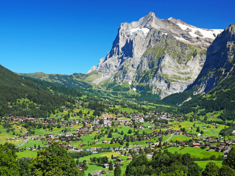 Foto van omgeving van Appartement Grindelwald