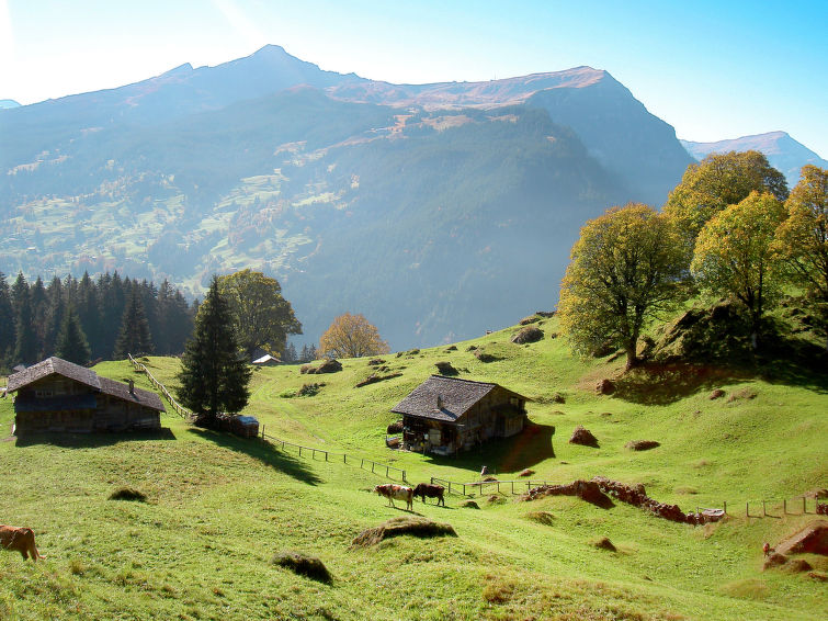 Foto van omgeving van Appartement Grindelwald