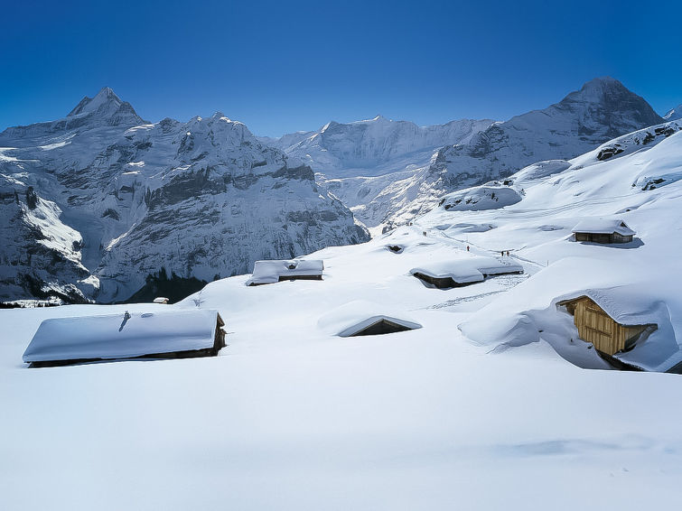 Foto van omgeving van Appartement Grindelwaldin de winter