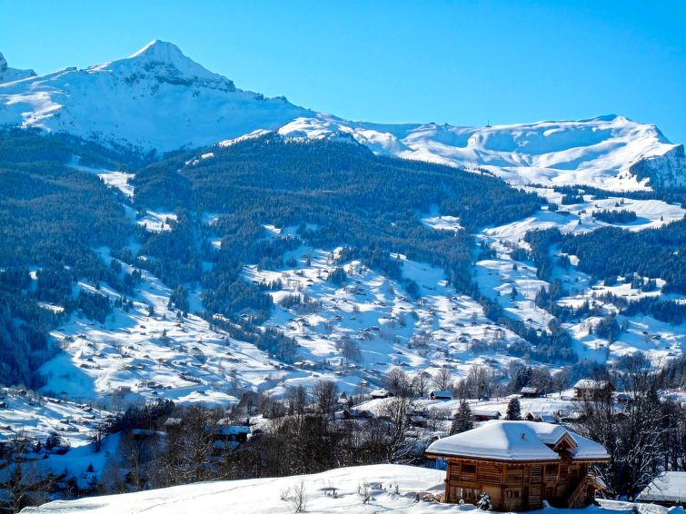 Foto van omgeving van Appartement Grindelwaldin de winter