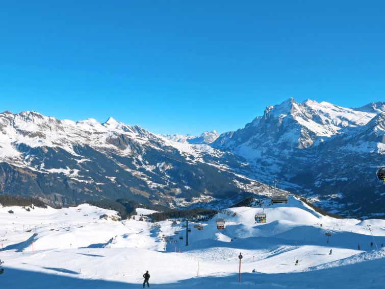 Foto van omgeving van Appartement Grindelwaldin de winter