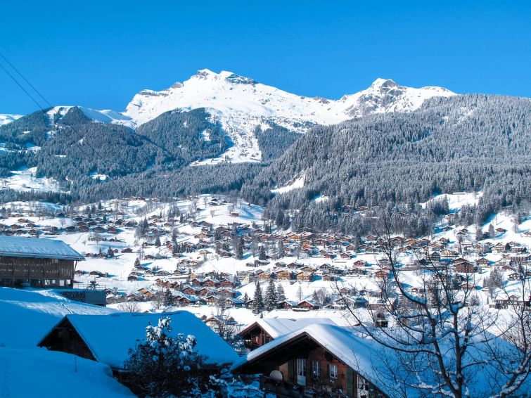 Foto van omgeving van Appartement Grindelwaldin de winter