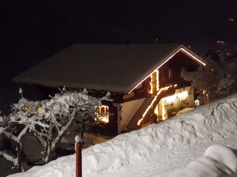 Foto van exterieur van Appartement Grindelwald