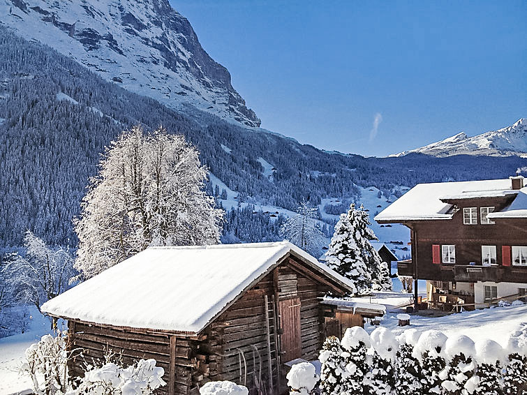 Foto van exterieur van Appartement Grindelwaldin de winter