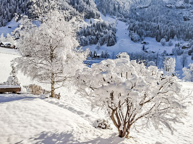 Foto van exterieur van Appartement Grindelwaldin de winter