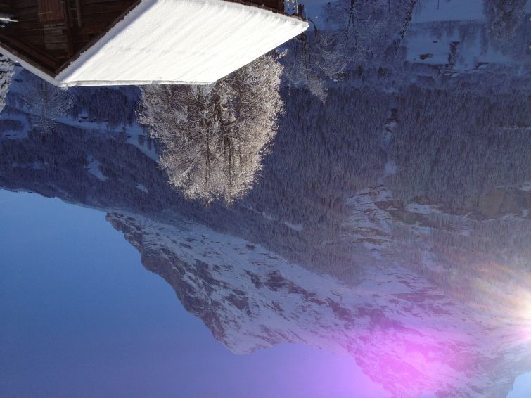 Foto van exterieur van Appartement Grindelwaldin de winter
