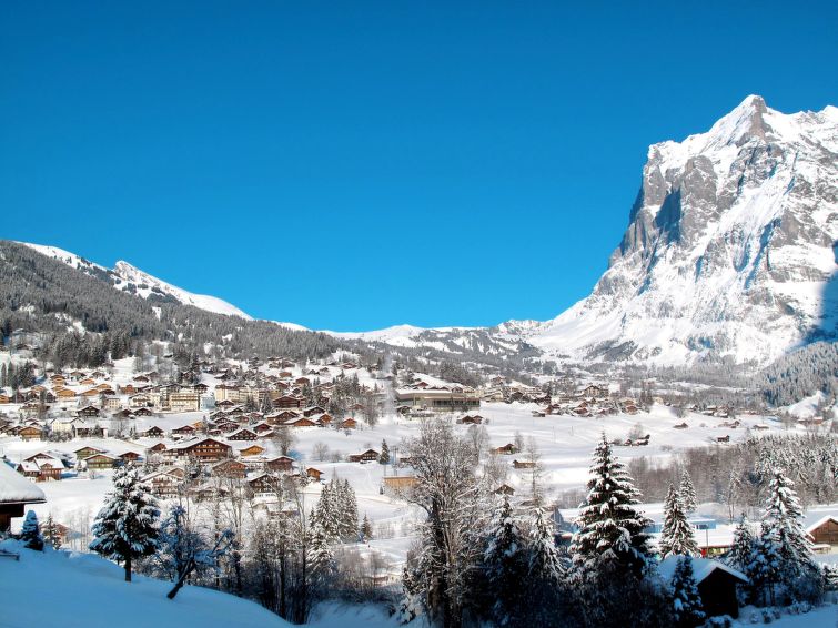 Foto van omgeving van Appartement Grindelwaldin de winter