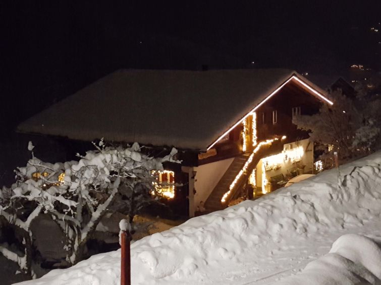 Foto van exterieur van Appartement Grindelwald