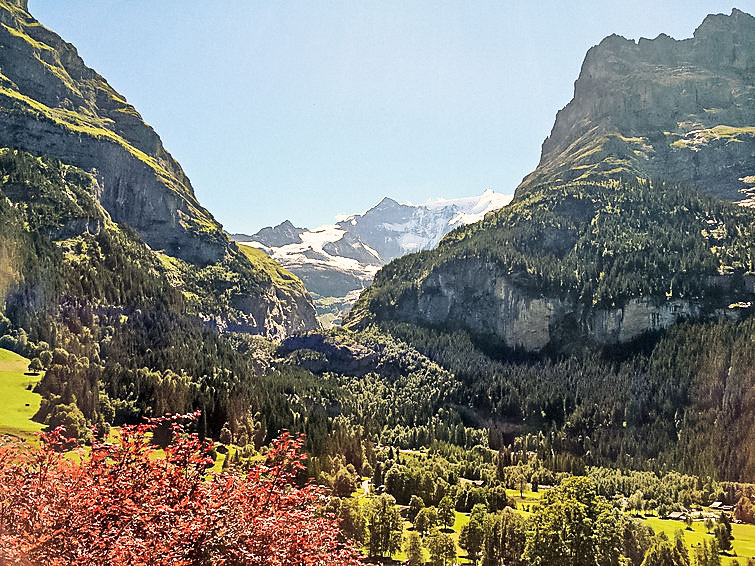 Foto van exterieur van Appartement Grindelwald