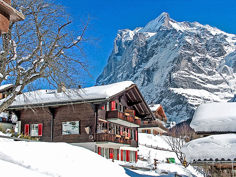 Gezellig Appartement Chalet Brgsunna in Grindelwald | Out! Vakantiehuizen
