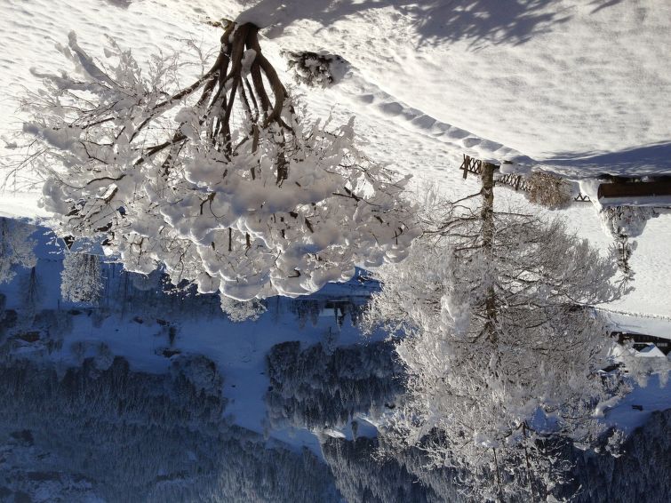 Foto van exterieur van Appartement Grindelwaldin de winter