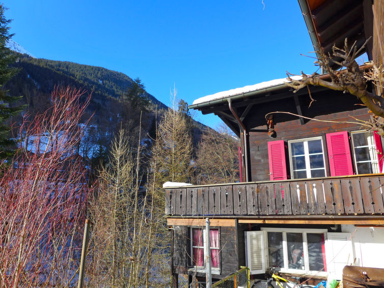 Foto van exterieur van Appartement Lauterbrunnenin de winter