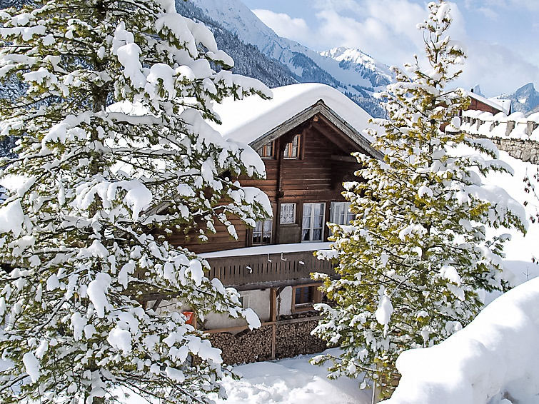 Foto van exterieur van Vakantiehuis Jaunin de winter