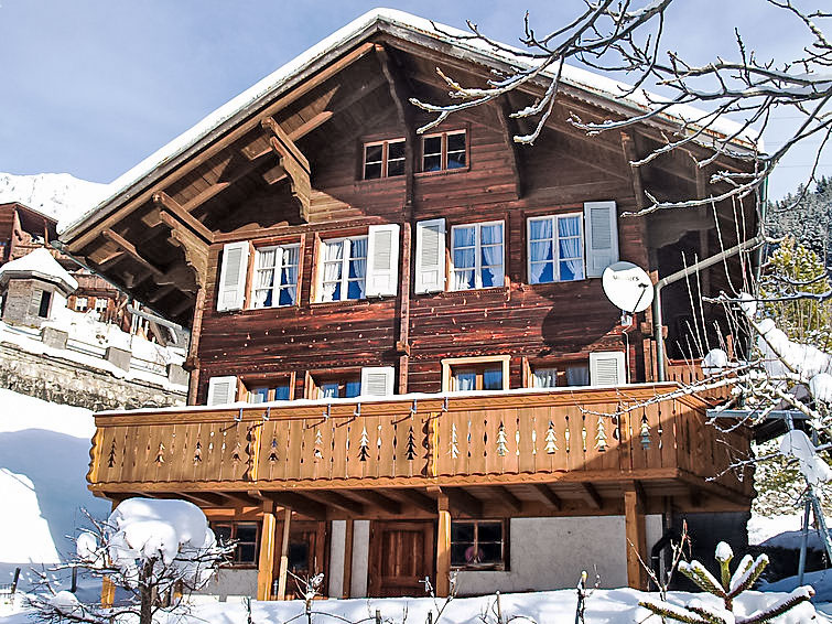 Foto van exterieur van Vakantiehuis Jaunin de winter