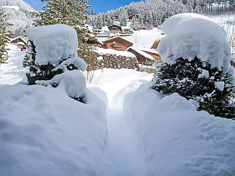 Foto van exterieur van Vakantiehuis Jaunin de winter