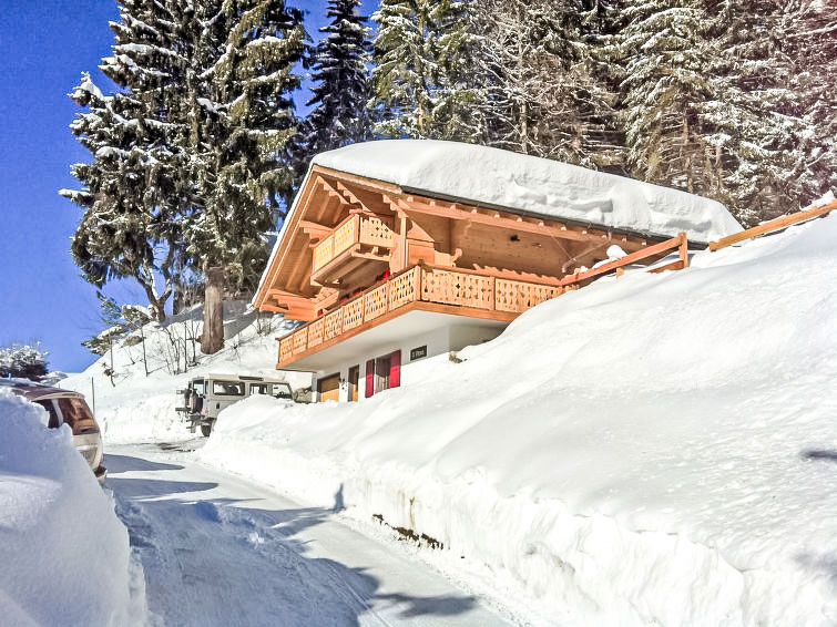 Foto van exterieur van Vakantiehuis Villarsin de winter