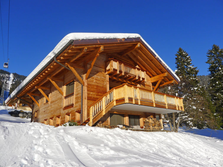 Foto van exterieur van Vakantiehuis Villarsin de winter