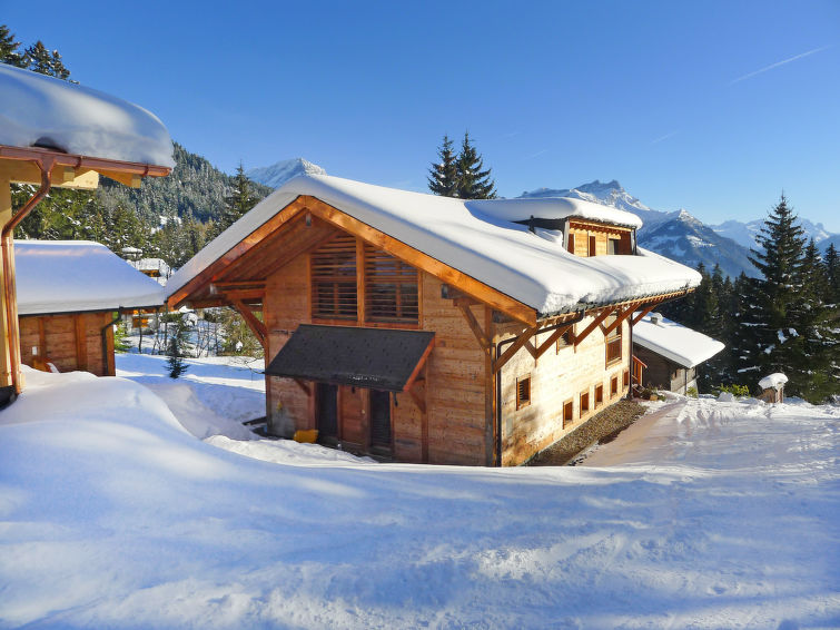 Foto van exterieur van Vakantiehuis Villarsin de winter