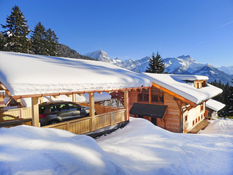 Foto van exterieur van Vakantiehuis Villarsin de winter