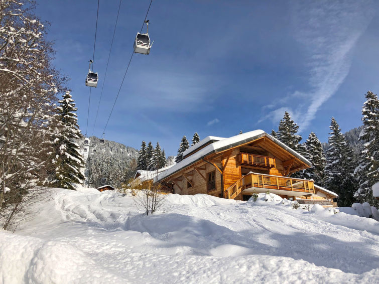 Foto van exterieur van Vakantiehuis Villarsin de winter