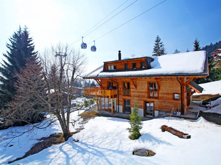 Foto van exterieur van Vakantiehuis Villarsin de winter