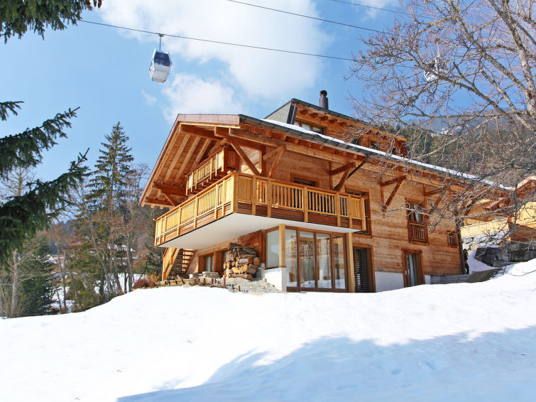 Foto van exterieur van Vakantiehuis Villarsin de winter