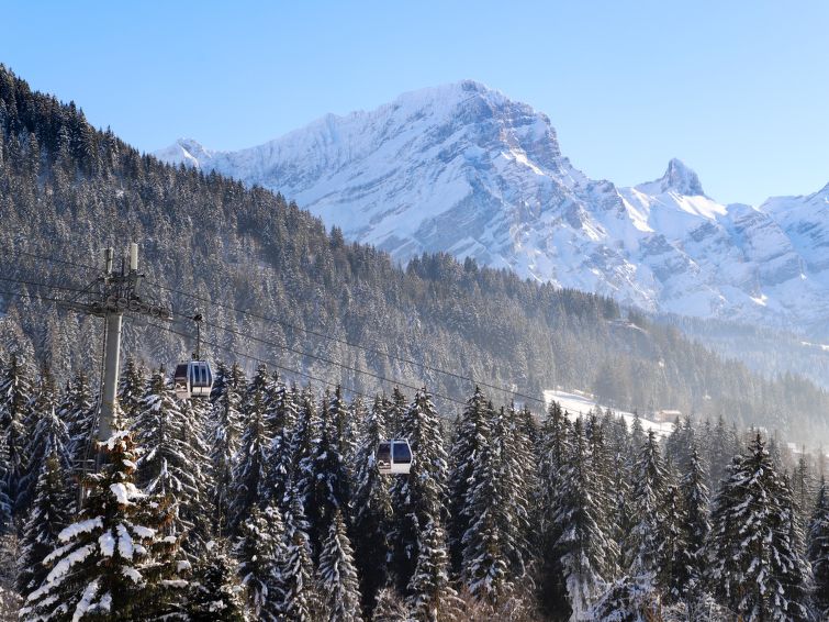 Foto van omgeving van Vakantiehuis Villars