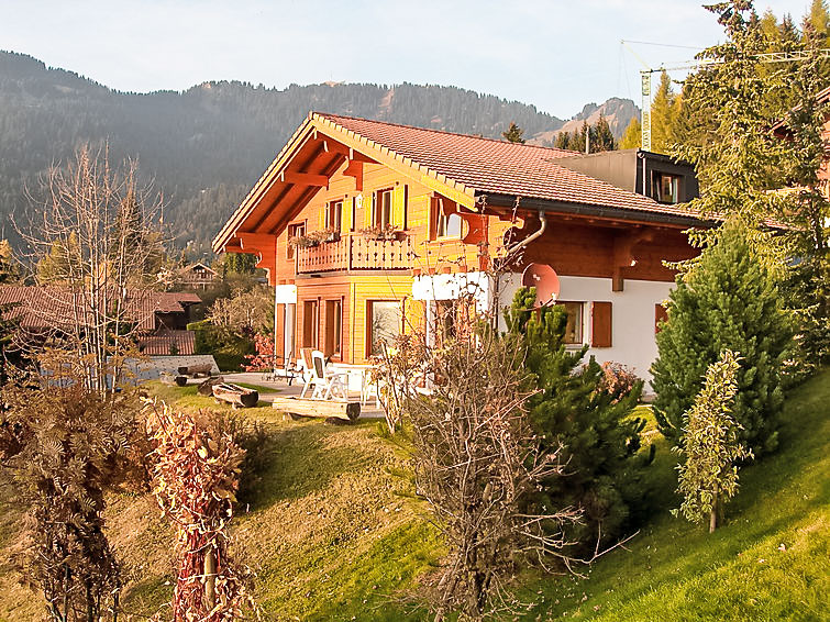 Foto van exterieur van Vakantiehuis Villars