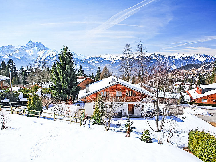 Foto van exterieur van Vakantiehuis Villarsin de winter
