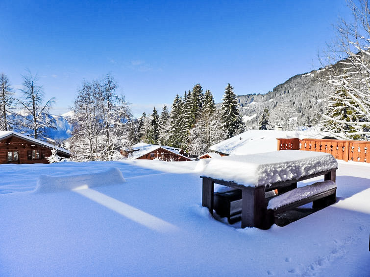 Foto van exterieur van Vakantiehuis Villarsin de winter